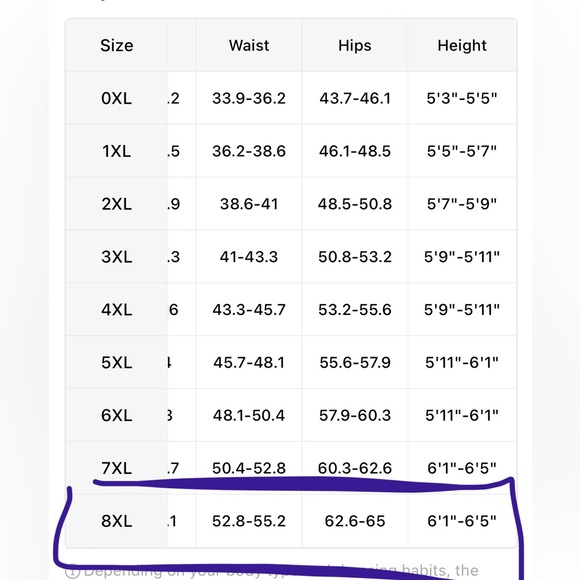 NWT Stretch Jean Shorts 28W - Picture 2 of 5